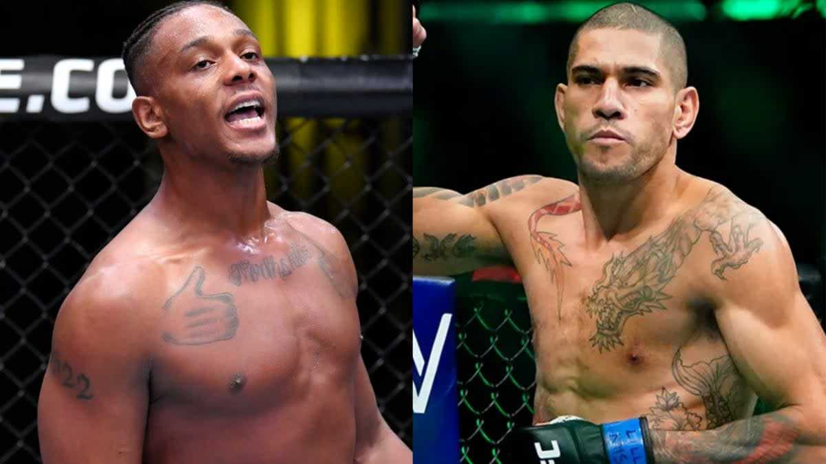 UFC 300: Pereira vs. Hill Quoten & Prognose