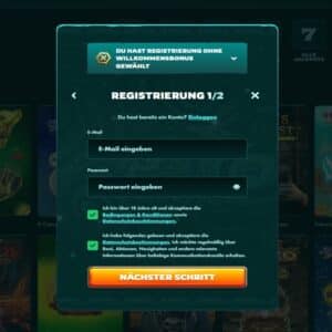 Schritt 2 der Anmeldung bei PlayIO
