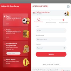 Schritt 1 der Anmeldung bei RealSpin