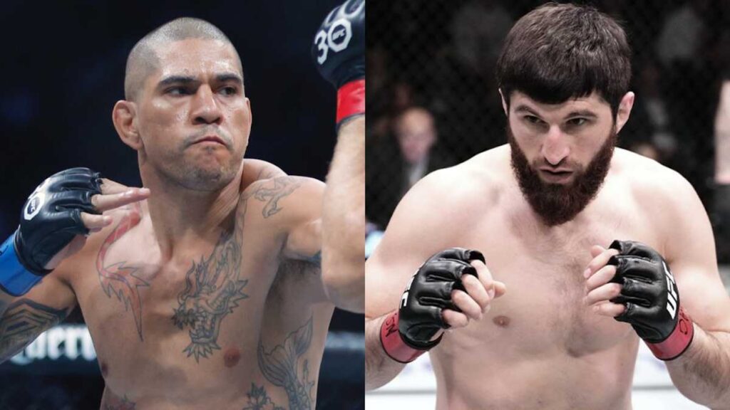UFC 320: Ankalaev vs. Pereira 2 Wetten, Quoten & Tipp